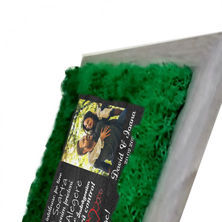 cadou-personalizat-pentru-iubita-sau-iubit---tablou-cu-licheni-naturali.jpg [3]