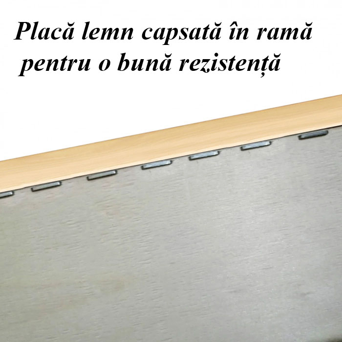 Tablou Licheni Cadou Tractorist [2]