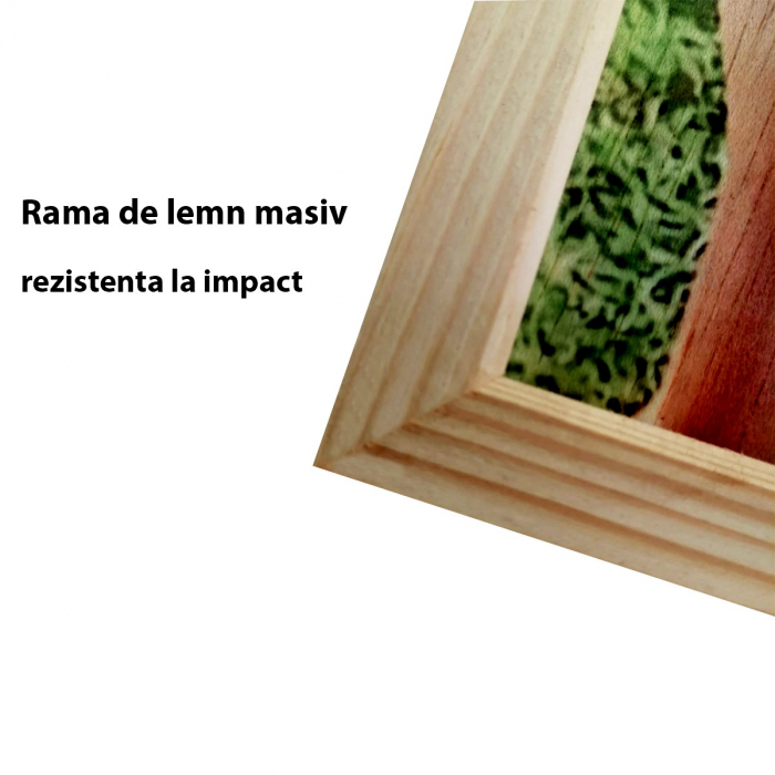 cadou-pentru-nou-nascut-tablou-pe-lemn-personalizat-cu-3-poze-si-text.jpg [2]