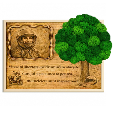 Toate Produsele - Tablou Licheni Cadou Motociclisti