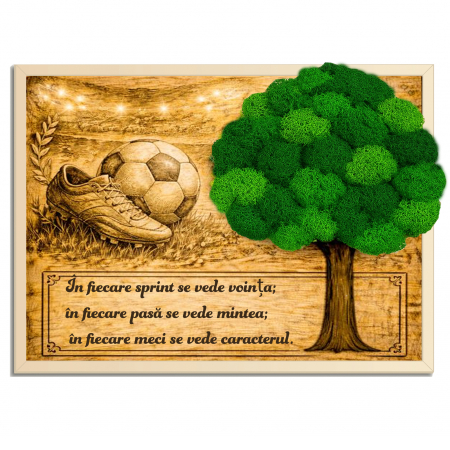 Tablouri - Tablou Licheni Cadou Fotbalist