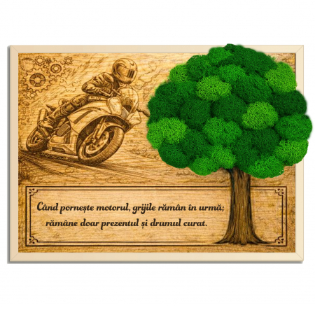 Tablouri - Tablou Licheni Cadou Motociclisti