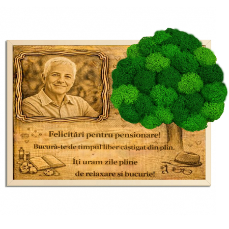 Toate Produsele - Tablou Licheni Cadou Pensionare