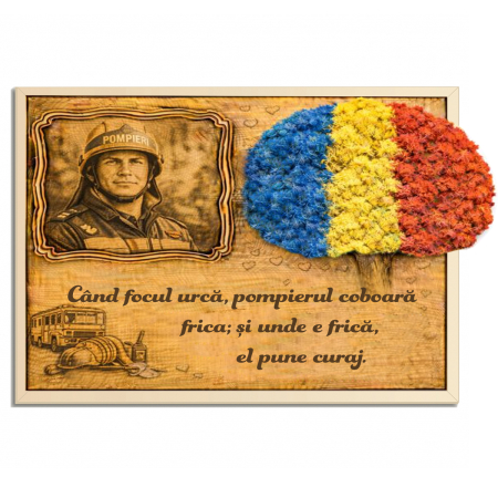 Tablouri - Tablou Licheni Cadou Pompieri