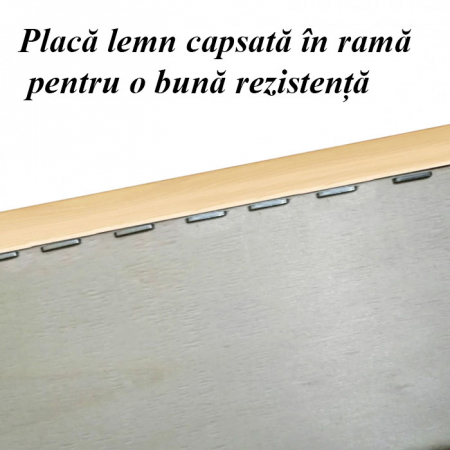 cadou-pentru-curier-tablou-pe-lemn-personalizat-cu-poza-si-text.jpg [2]