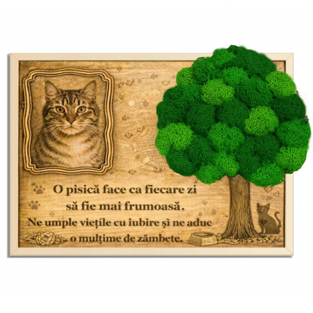 Tablou Licheni Cadou Iubitorii de Pisici