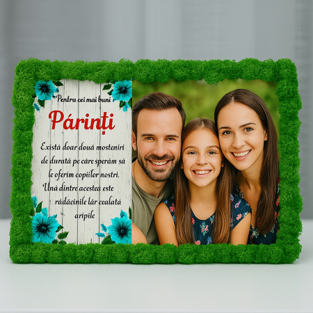 Tablouri  Licheni - Tablou cu Licheni Naturali Personalizat