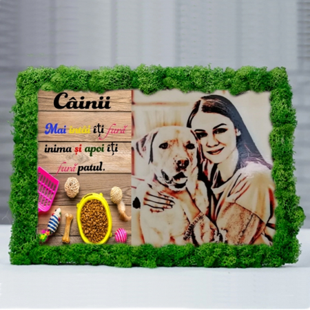 tablou-licheni-personalizat-pentru-caini.jpg