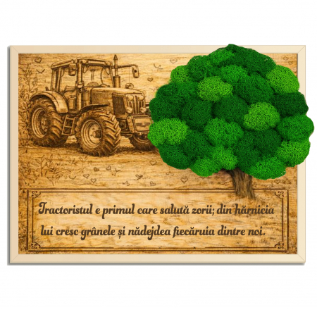 Tablou Licheni Cadou Tractorist
