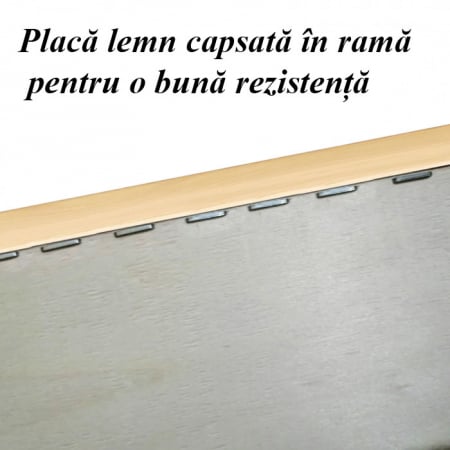 cadou-pentru-soacra-tablou-pe-lemn-personalizat-cu-poza-si-text-"intelepciune".jpg [2]