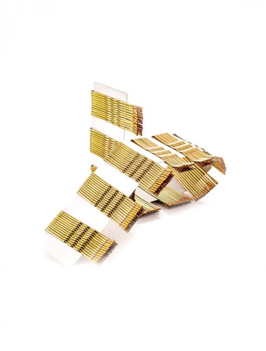 agrafe-cocuri-ondulate-fasii-coafura-agrafe-par-aparatura-coafura-visuel-beauty-shop-produse-profesionale-de-infrumusetare-dotari-saloane-infrumusetare [4]