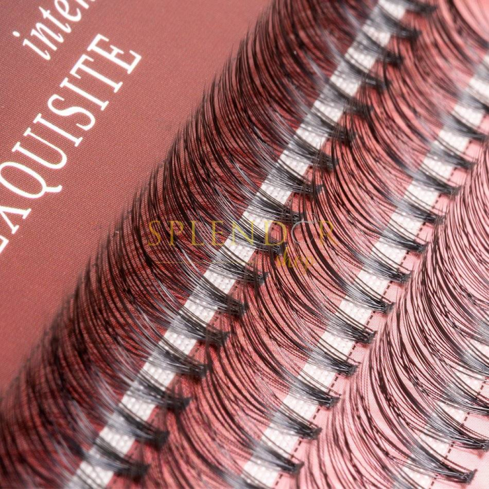 gene-false-smocuri-exquisite-intense-20d-silk-lashes-60-buc-marimea-s-gene-false-smocuri-visuel-beauty-shop-produse-profesionale-de-infrumusetare-dotari-saloane-infrumusetare [3]
