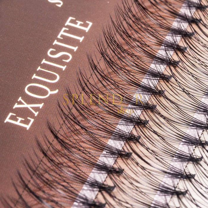 gene-false-smocuri-exquisite-soft-10d-silk-lashes-60-buc-marimea-s-gene-false-smocuri-visuel-beauty-shop-produse-profesionale-de-infrumusetare-dotari-saloane-infrumusetare [3]