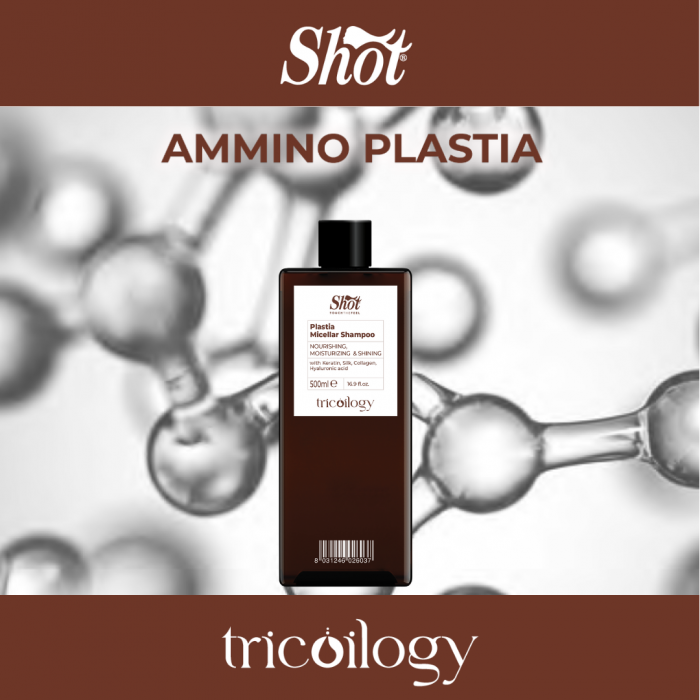 sampon-restructurant-par-ammino-plastia-500ml [1]