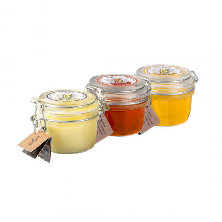 set-3-modele-ceara-par-gordon-opal-weiss-strong-ale-blond-ale [0]