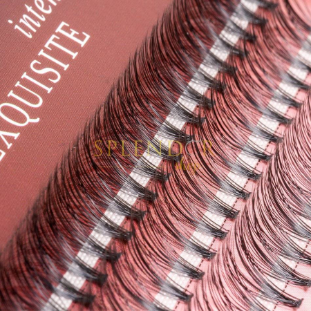 gene-false-smocuri-exquisite-intense-20d-silk-lashes-60-buc-marimea-s-gene-false-smocuri-visuel-beauty-shop-produse-profesionale-de-infrumusetare-dotari-saloane-infrumusetare [2]