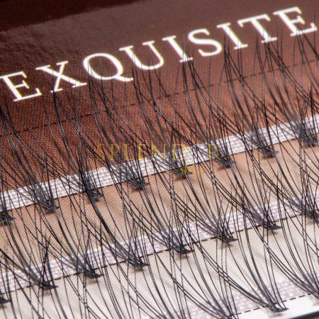 gene-false-smocuri-exquisite-soft-10d-silk-lashes-60-buc-marimea-s-gene-false-smocuri-visuel-beauty-shop-produse-profesionale-de-infrumusetare-dotari-saloane-infrumusetare [1]