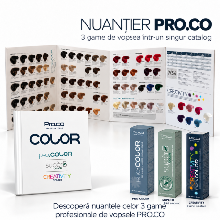 PRO.CO - Nuantier prezentare vopsele profesionale: PRO.COLOR, SUPERB, CREATIVITY