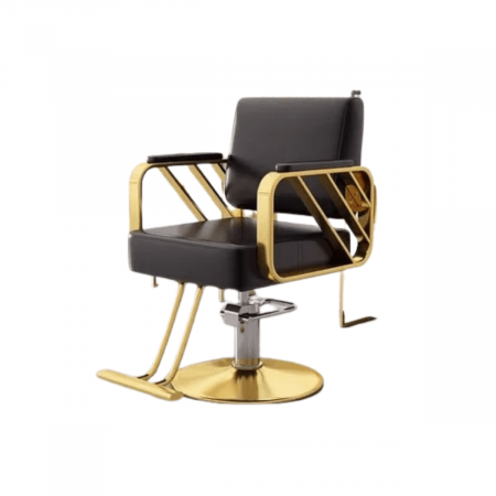 scaun-coafura-evadne-visuel-beauty-shop-produse-profesionale-de-infrumusetare-dotari-saloane-infrumusetare-mobilier-salon [1]