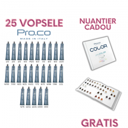 set-25-vopsele-profesioanale-pro-color-nuantier-gratis-visuel-beauty-shop-produse-profesionale-de-infrumusetare-dotari-saloane-infrumusetare