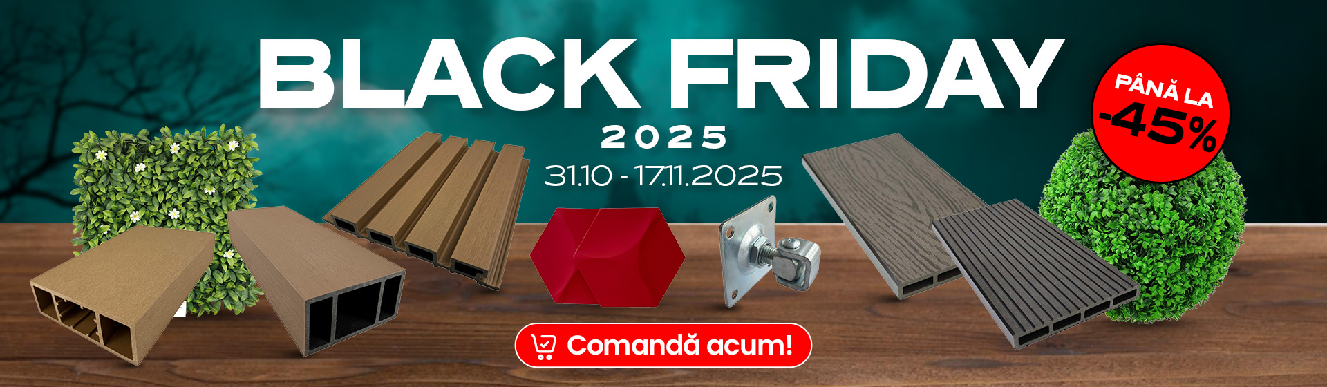BLACK FRIDAY 2025