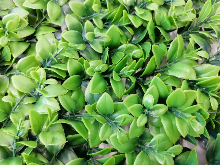 Perete Verde Basil Plant, Perete Verde Artificial,  Panou Decorativ pentru Perete [2]