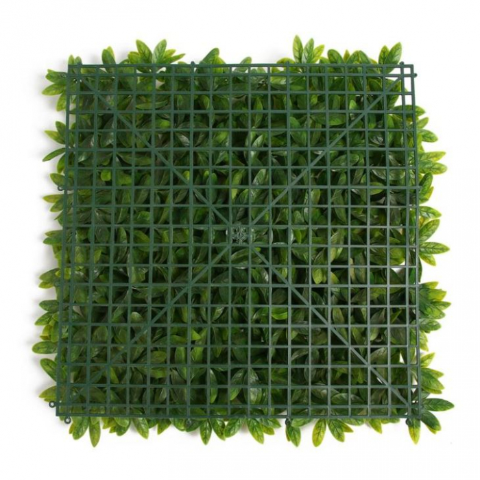 Perete Verde Murraya, Perete Verde Artificial,   Panou Decorativ pentru Perete [5]