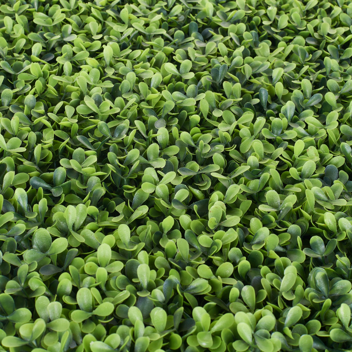 Perete Verde Spring Buxus, Perete Verde Artificial,  Panou Decorativ pentru Perete [3]