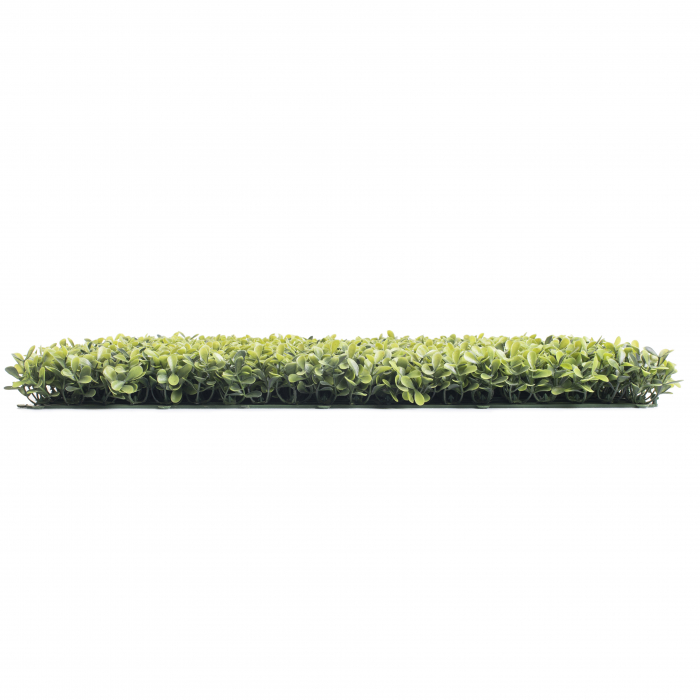 Perete Verde Spring Buxus, Perete Verde Artificial,  Panou Decorativ pentru Perete [5]