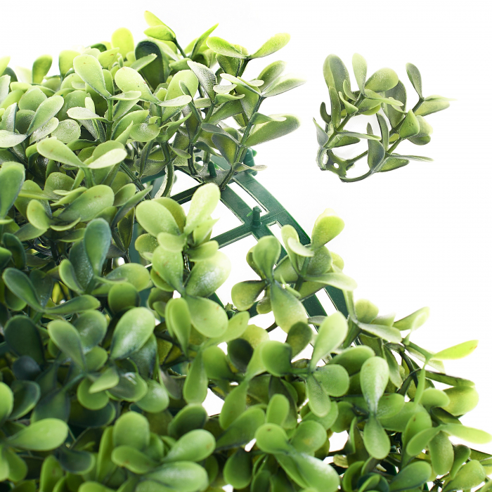 Perete Verde Spring Buxus, Perete Verde Artificial,  Panou Decorativ pentru Perete [6]