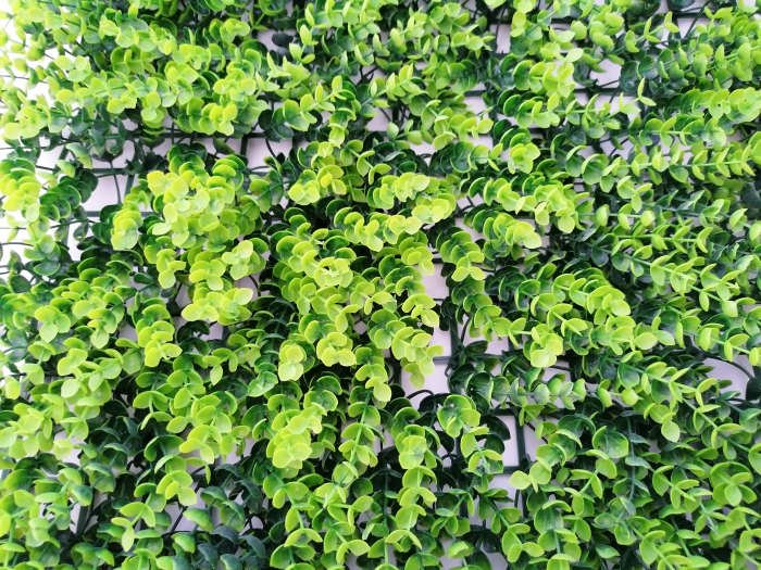 Perete Verde Elephant Bush, Perete Verde Artificial,  Panou Frunze Artificiale [8]