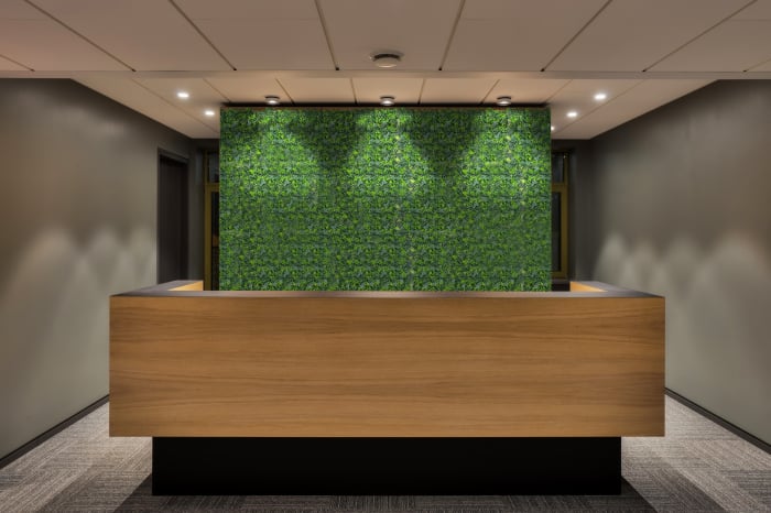 Perete Verde Hedera Mix, Perete Verde Artificial,  Panou Decorativ pentru Perete [11]