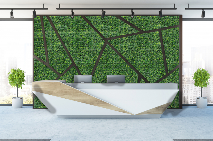 Perete Verde Murraya, Perete Verde Artificial,   Panou Decorativ pentru Perete [13]