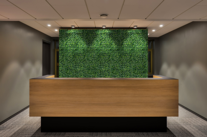 Perete Verde Murraya, Perete Verde Artificial,   Panou Decorativ pentru Perete [14]