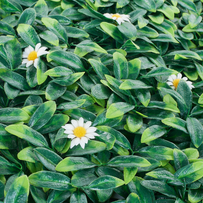 Perete Verde Murraya White Flower, Perete Verde Artificial,  Panou Decorativ pentru Perete [14]