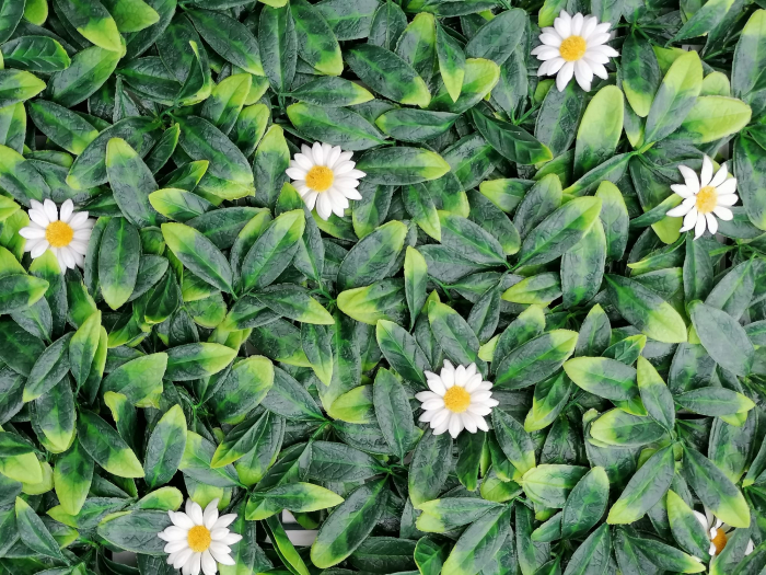 Perete Verde Murraya White Flower, Perete Verde Artificial,  Panou Decorativ pentru Perete [2]