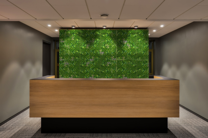 Perete Verde Plant Mix, Perete Verde Artificial,  Panou Decorativ pentru Perete [7]