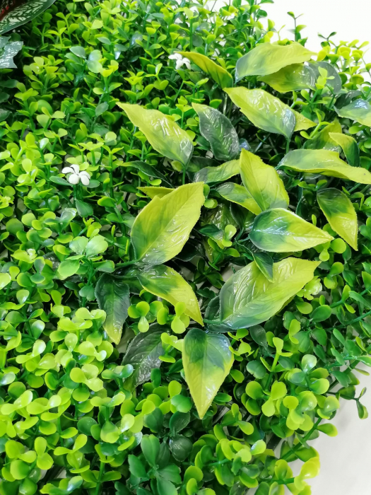 Perete Verde Plant Mix, Perete Verde Artificial,  Panou Decorativ pentru Perete [5]