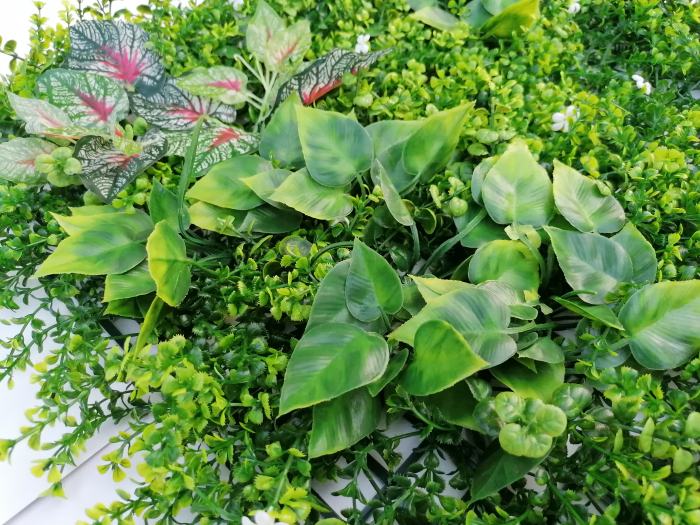 Perete Verde Plant Mix, Perete Verde Artificial,  Panou Decorativ pentru Perete [4]