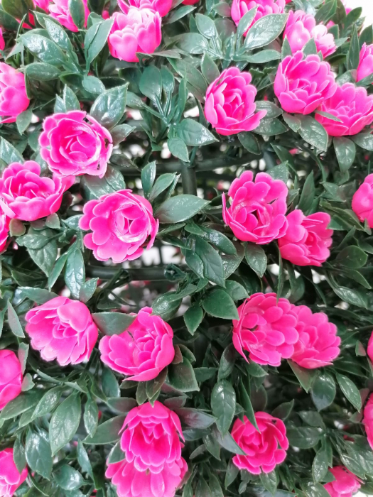 Sfera decorativa din plante artificiale Trandafiri rosii, Arbust artificial forma sferica [4]