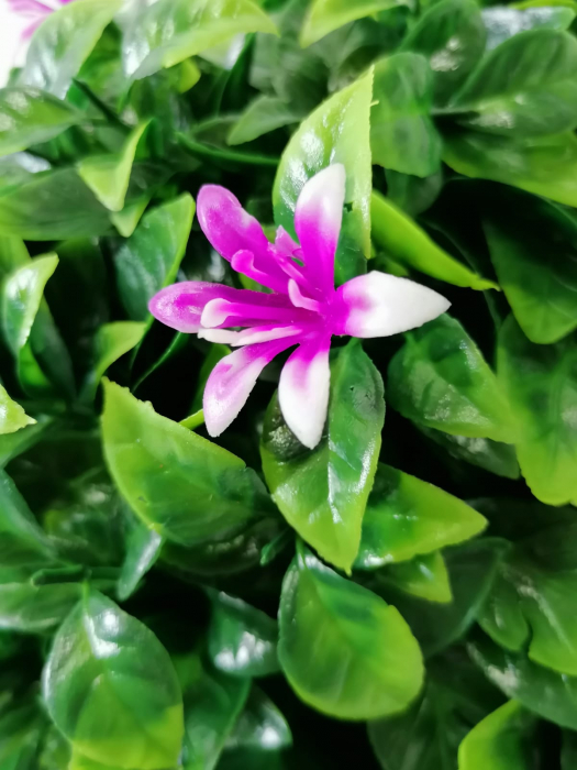 Sfera decorativa din plante artificiale cu flori mov [3]