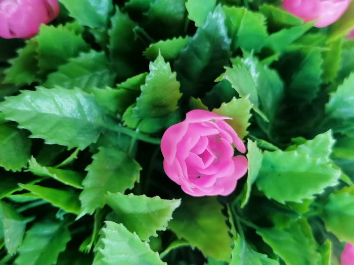 Sfera decorativa plante artificiale trandafiri roz [4]