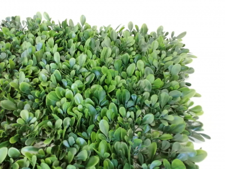 Perete Verde Green Velvet, Perete Verde Artificial,  Panou Decorativ pentru Perete [1]