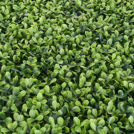 Perete Verde Spring Buxus, Perete Verde Artificial,  Panou Decorativ pentru Perete [2]
