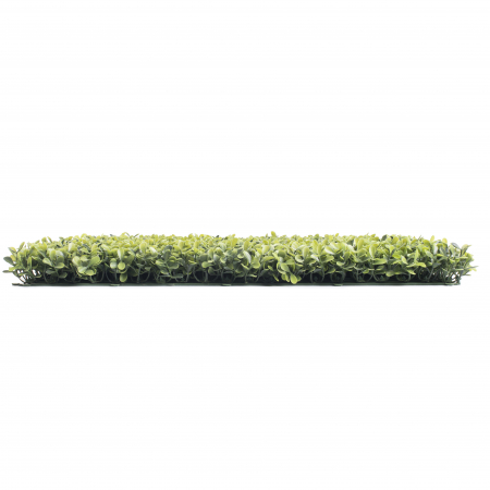 Perete Verde Spring Buxus, Perete Verde Artificial,  Panou Decorativ pentru Perete [4]