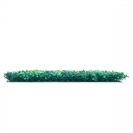 Perete Verde Buxus, Perete Verde Artificial,  Panou Decorativ pentru Perete [15]