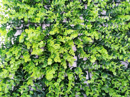 Perete Verde Elephant Bush, Perete Verde Artificial,  Panou Frunze Artificiale [7]