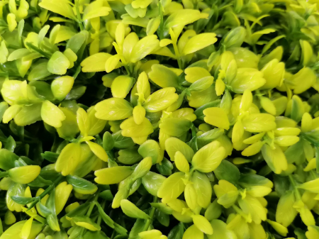 Arbust artificial in forma de sfera vivodecor, Sfera plante artificiale Buxus Verde Crud [4]