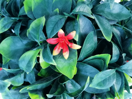 Sfera decorativa din plante artificiale cu flori oranj [2]