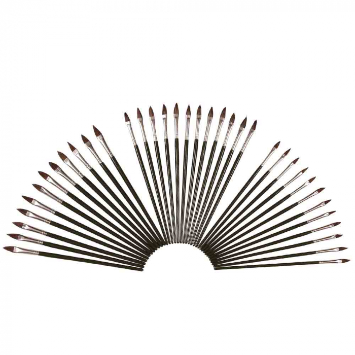 Set 12 pensule, Colad 9900, pentru detalining, vopsire zone mici [1]